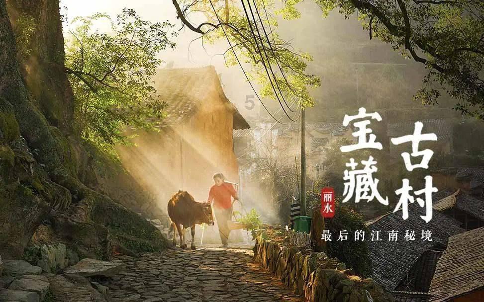 莫兰迪色系
